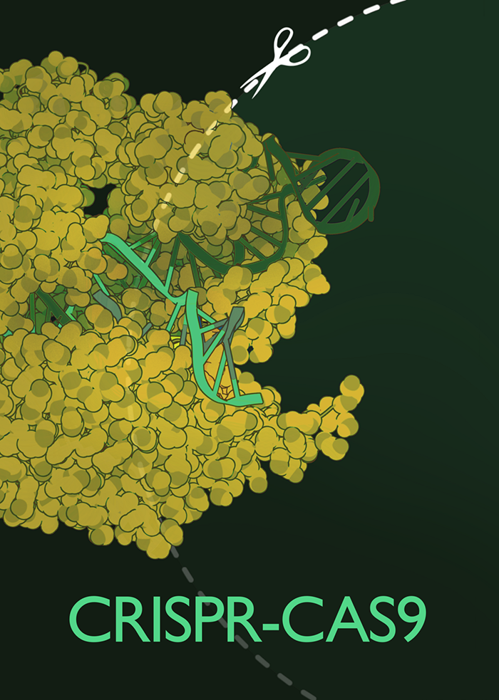 Poster commemorating the NSF Emerging Industries in the Bioeconomy Challenges showing a Cascade and CRISPR Protein