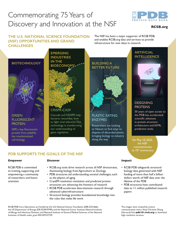 Image of flyer for download