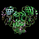Register Now for Tutorial: Introduction to Molecular Animation