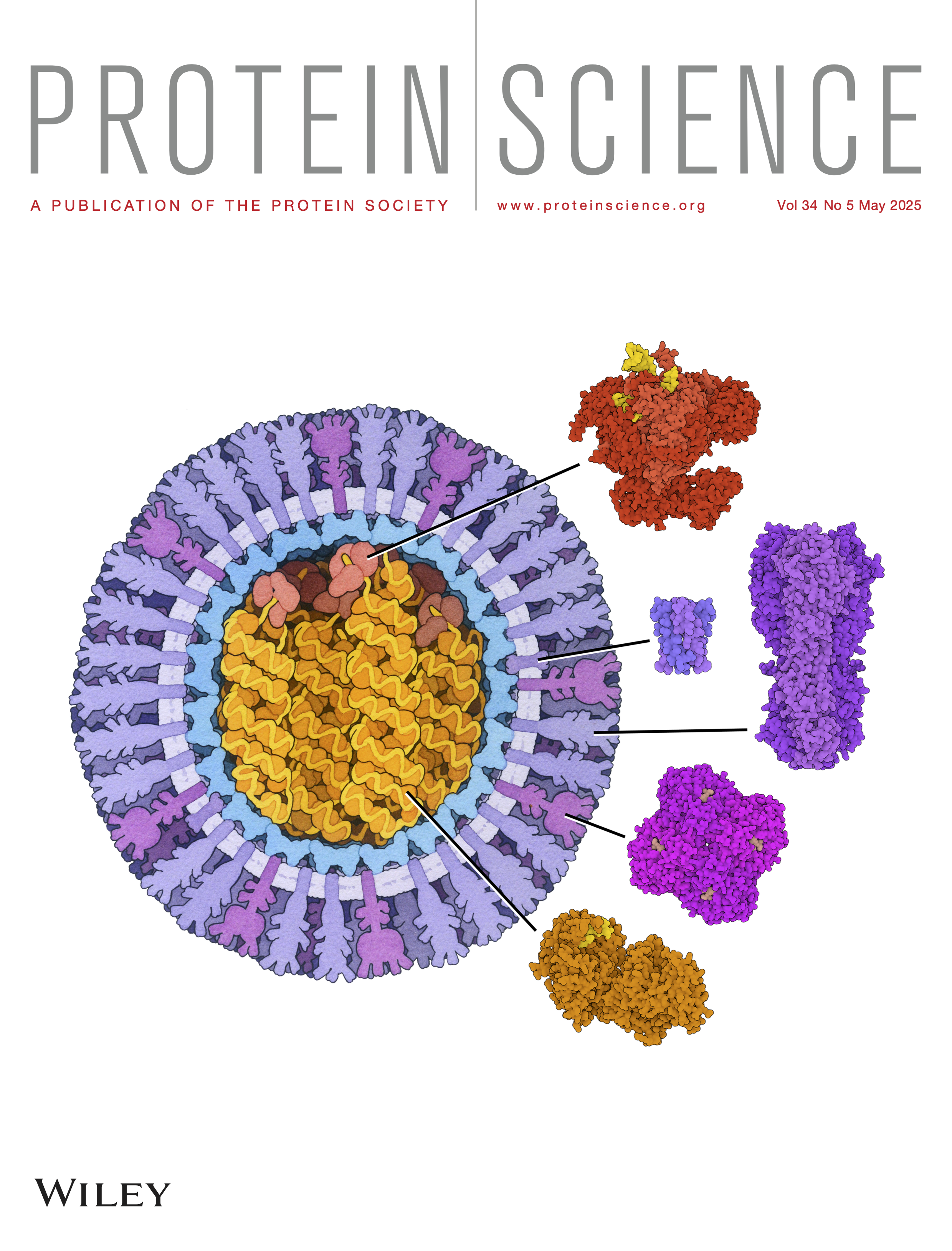 <I>Download the image of H5N1 that appeared on the cover of </I>Protein Science