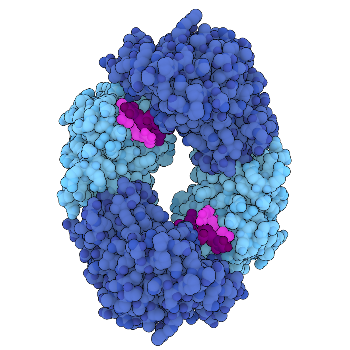RCSB PDB Molecule of the Month